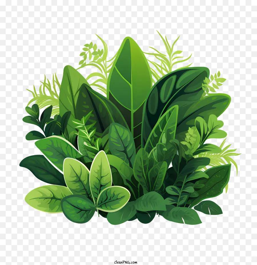 Planta Verde，Folhas Verdes PNG