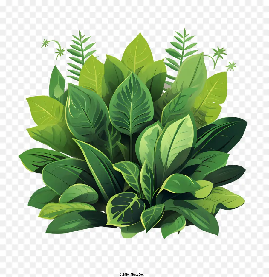 Planta Verde，Folhas Verdes PNG