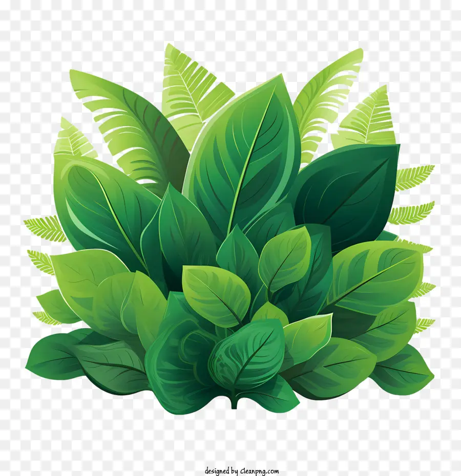 Planta Verde，Verde PNG