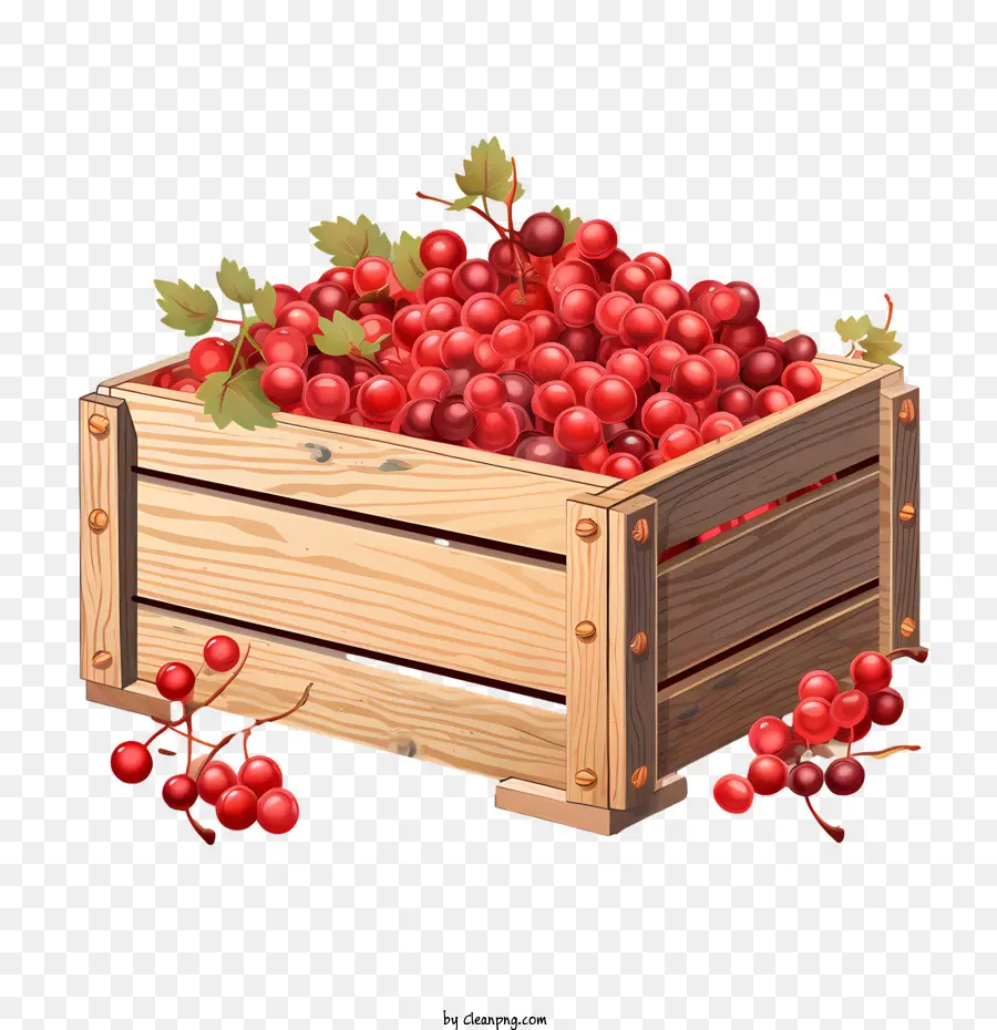 Cranberries，Framboesas PNG
