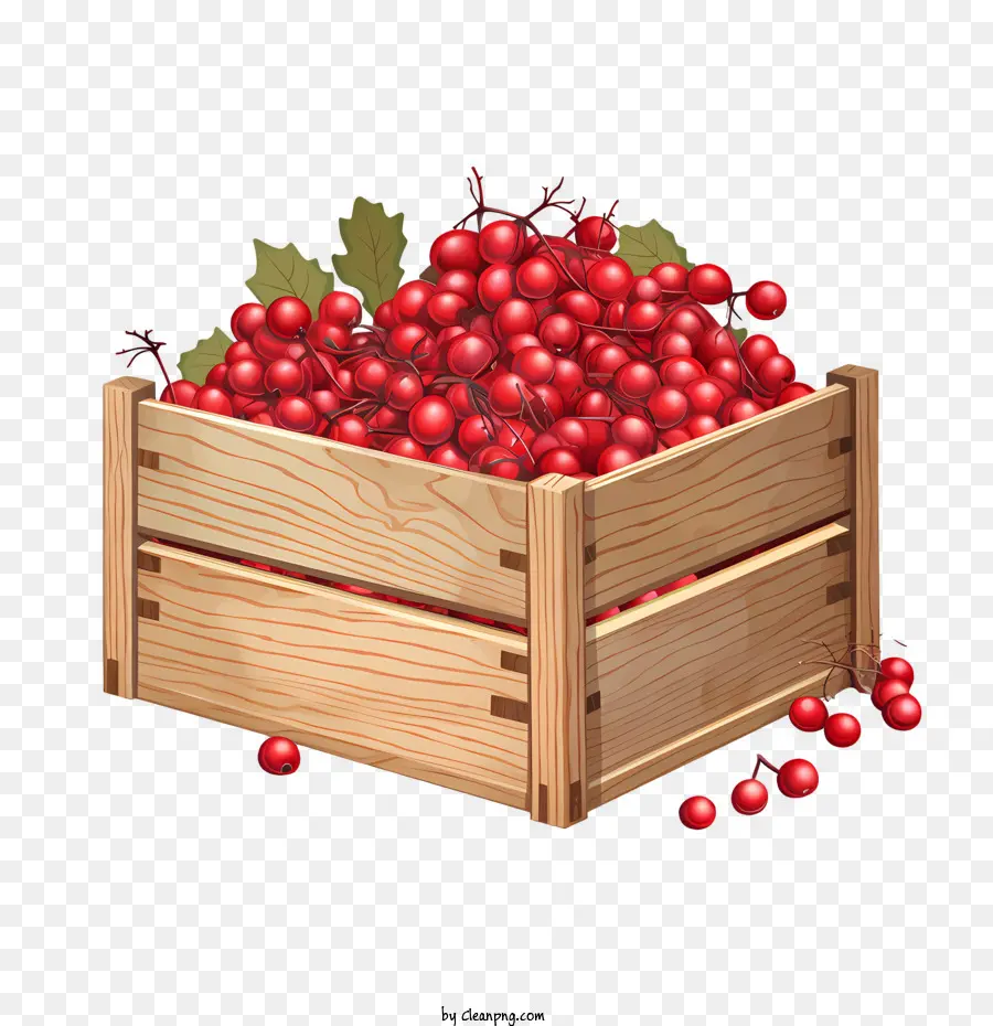 Cranberries，Uvas Vermelhas PNG