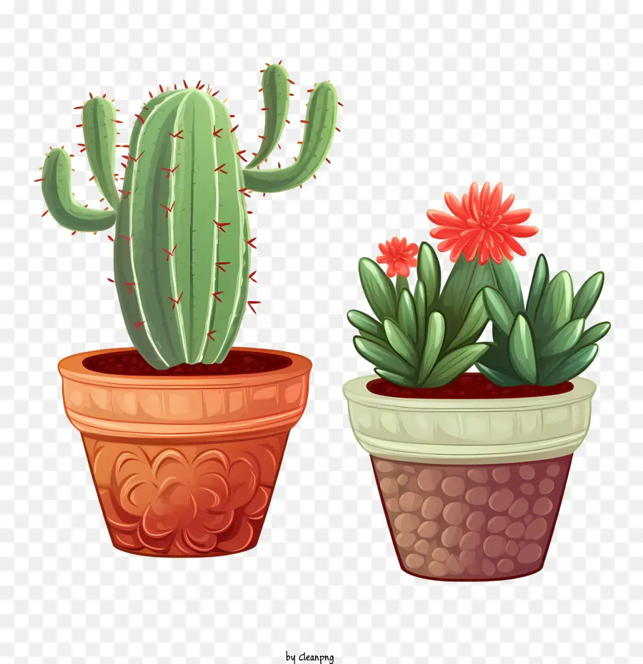 Cacto，Cacto Com Flores PNG