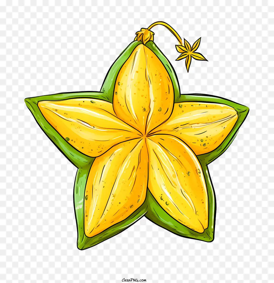 Carambola，Carambola Amarela PNG