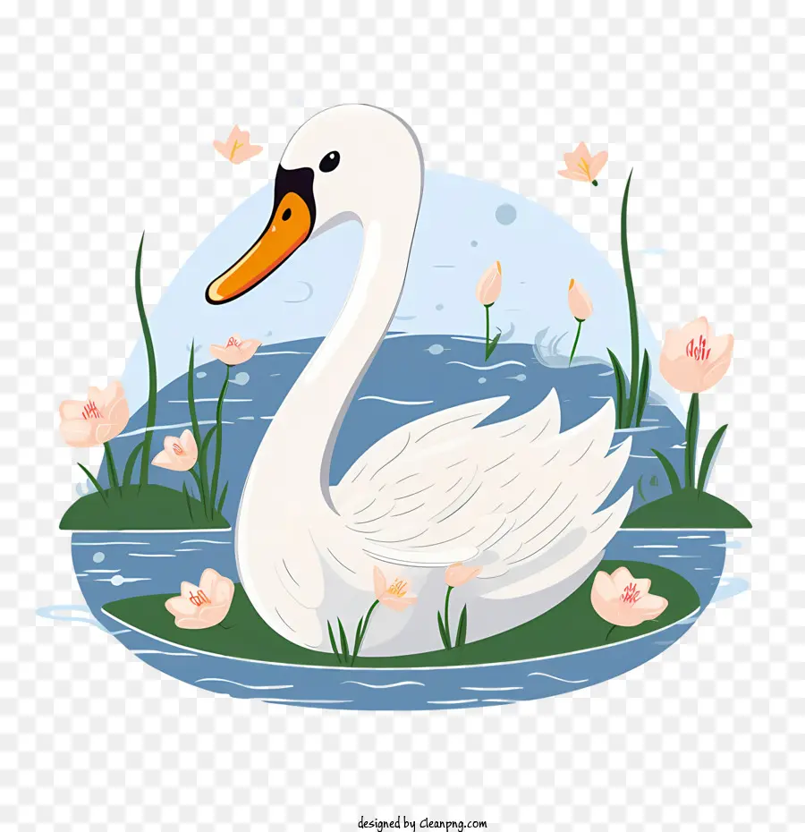 Swan，Os Lírios De água PNG