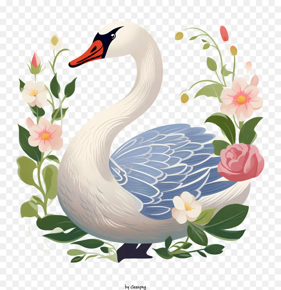 Cisne，Gracioso PNG