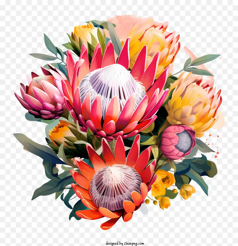 Flor Protea，Conteúdo De Imagem PNG