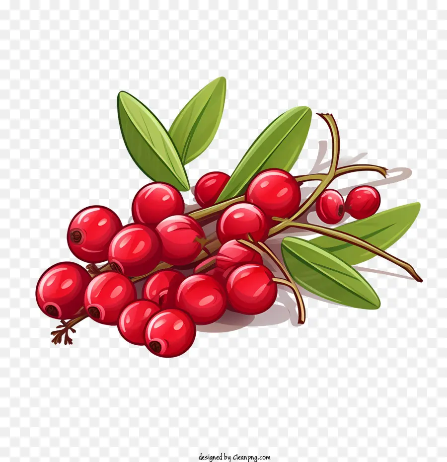 Cranberries，Como Um Cranberry PNG
