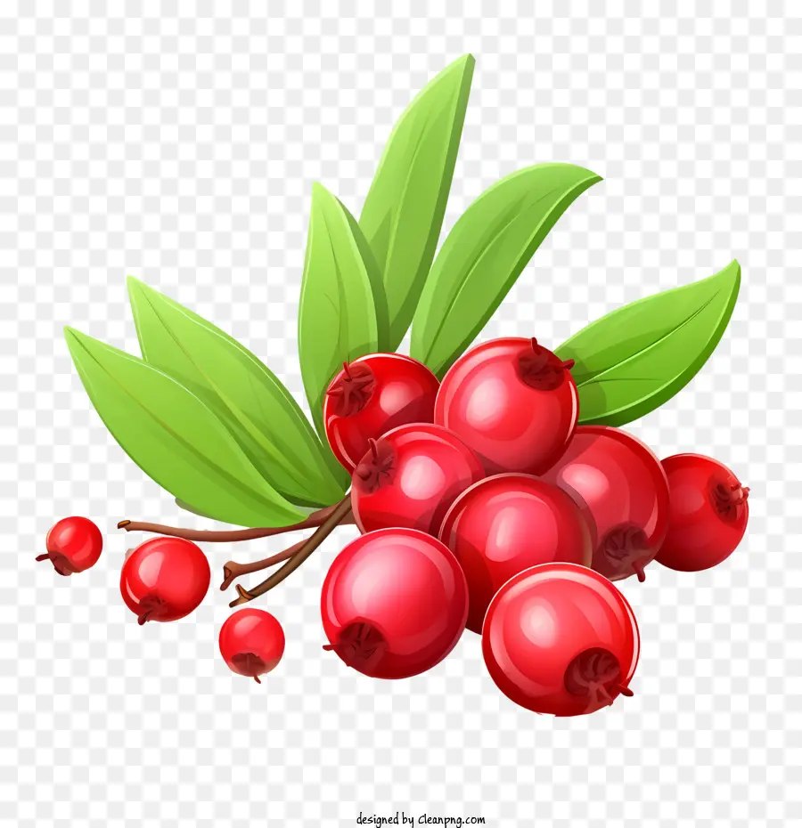 Cranberries，Bagas PNG