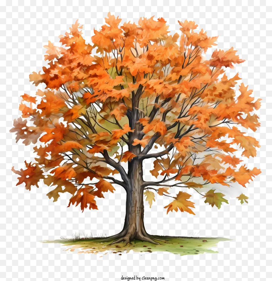 Autumn Tree，Autumn Leaves PNG