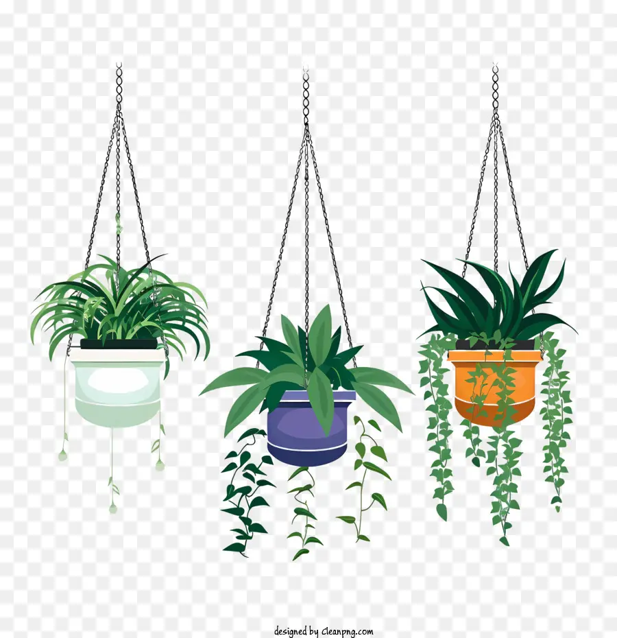 Planta Pendurada Com Maconha，Plantas Em Vasos Pendurados PNG