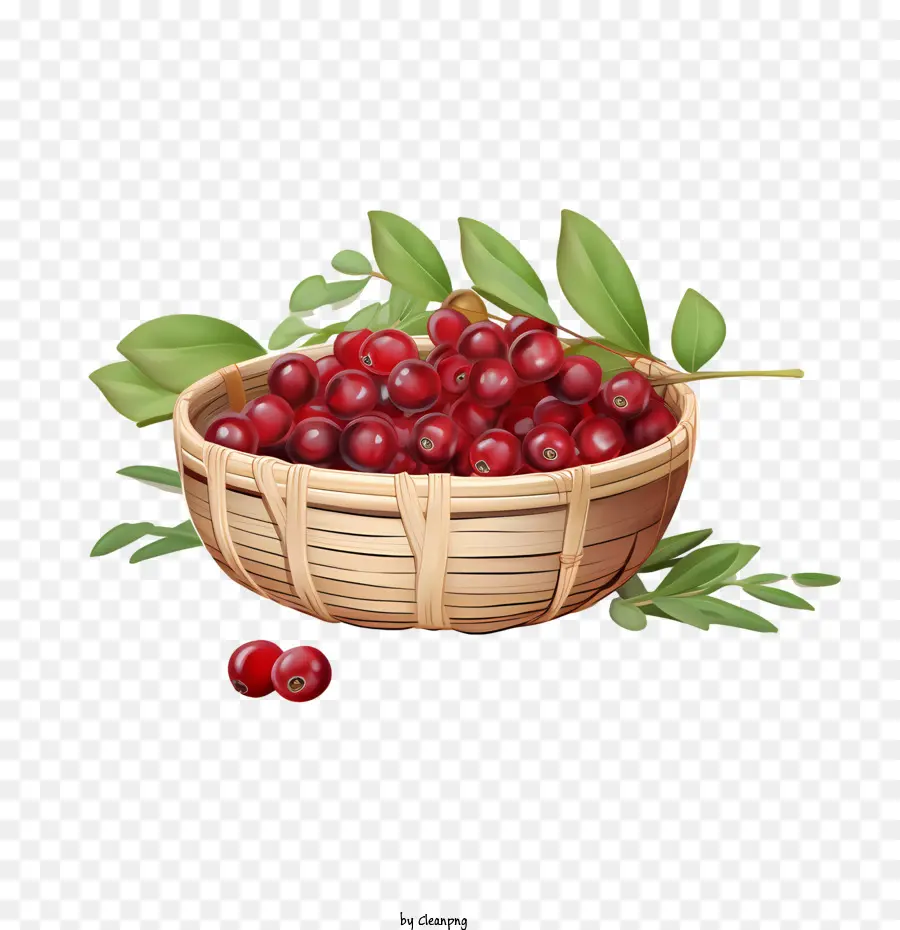 Cranberries，Tigela PNG