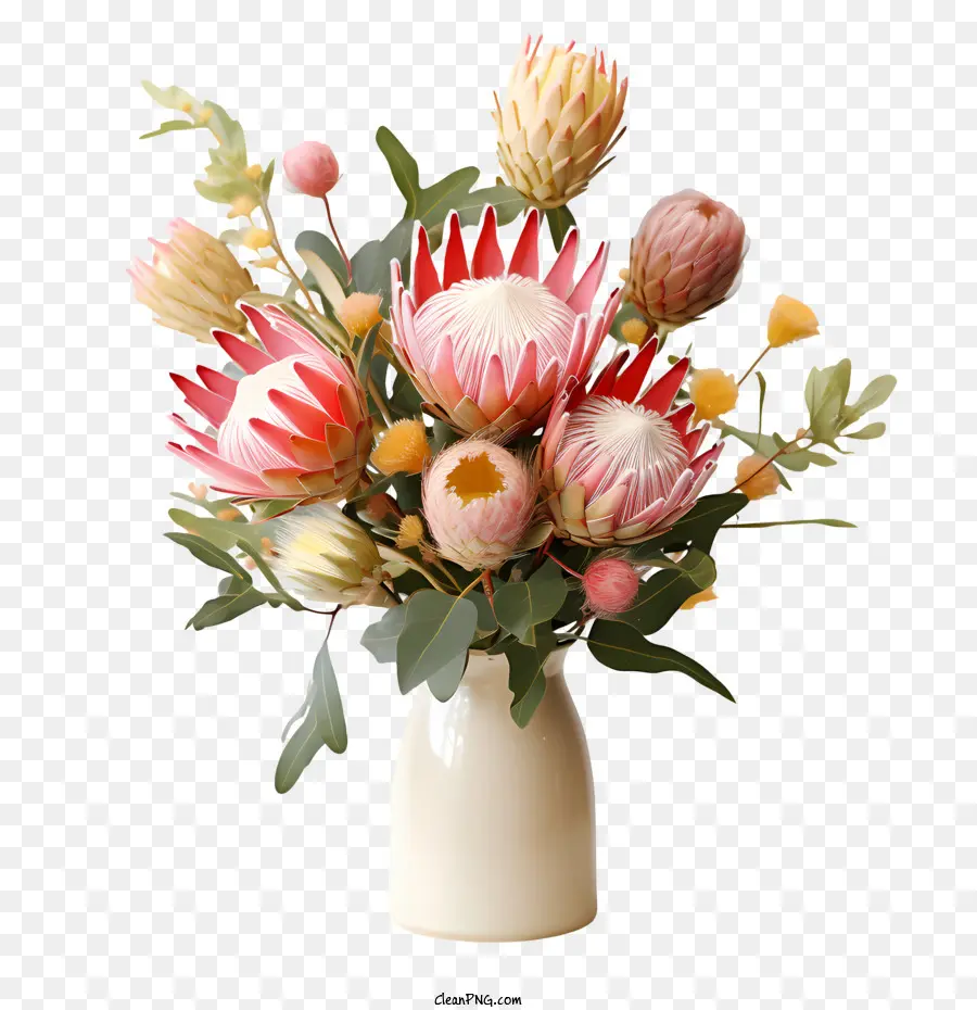 Flor Protea，Vermelho PNG