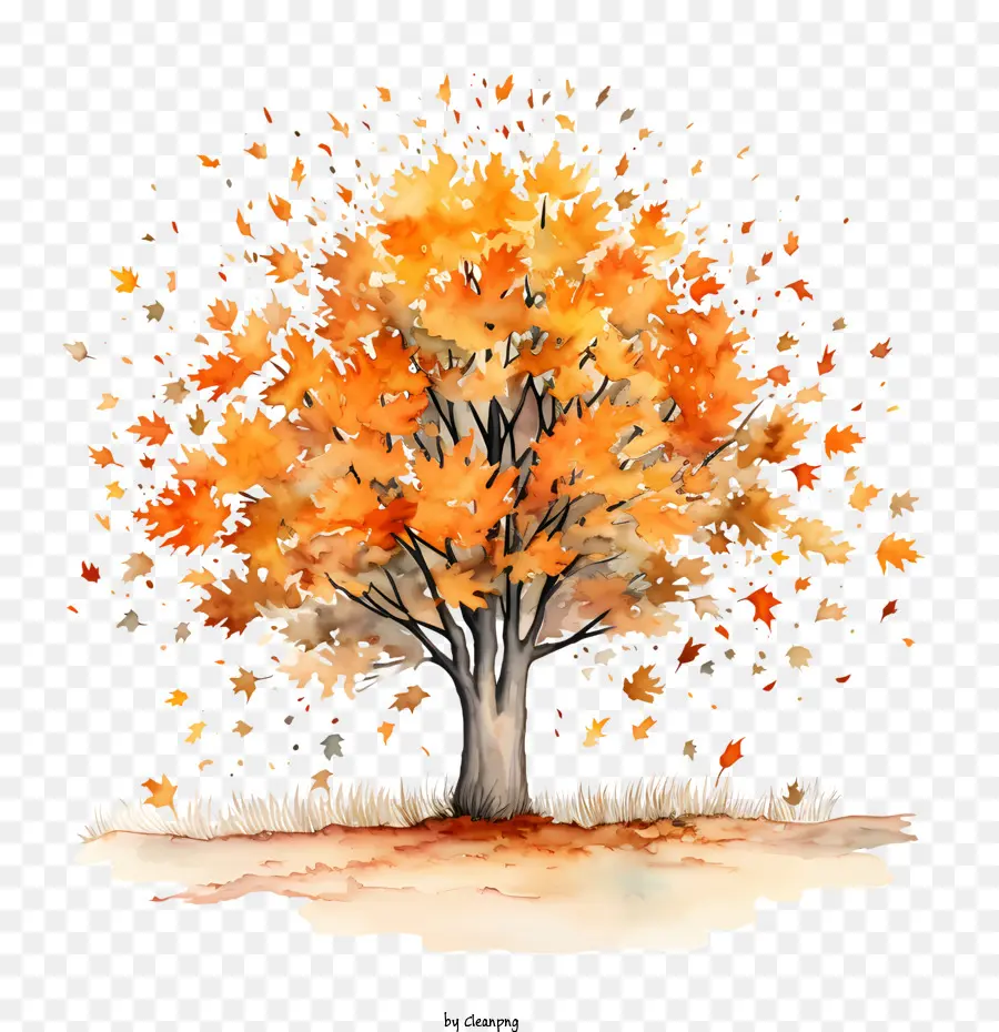 Autumn Tree，Folhas De Outono PNG