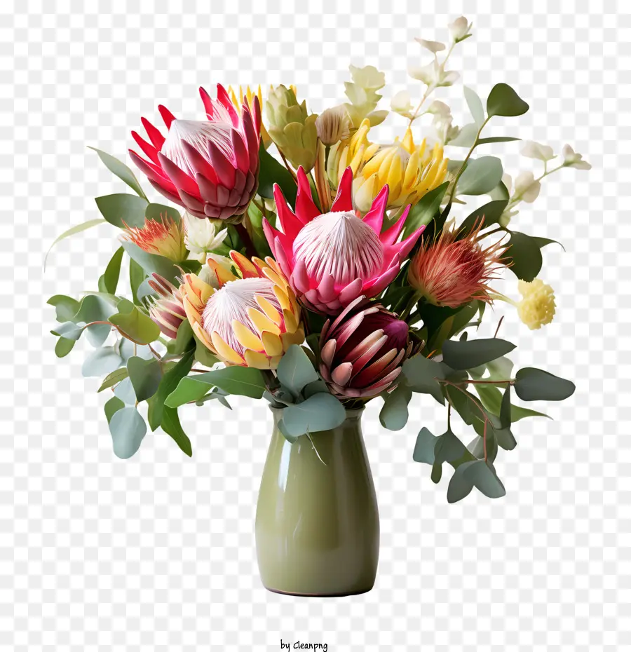 Flor Protea，Vaso PNG