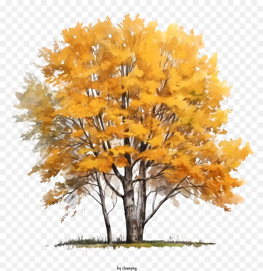 Autumn Tree，Autumn Leaves PNG