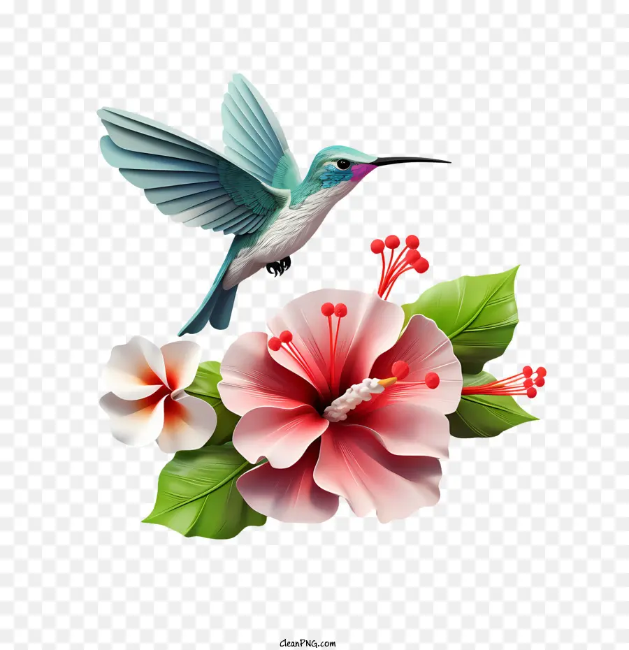 Dia Do Beija Flor，Aves PNG