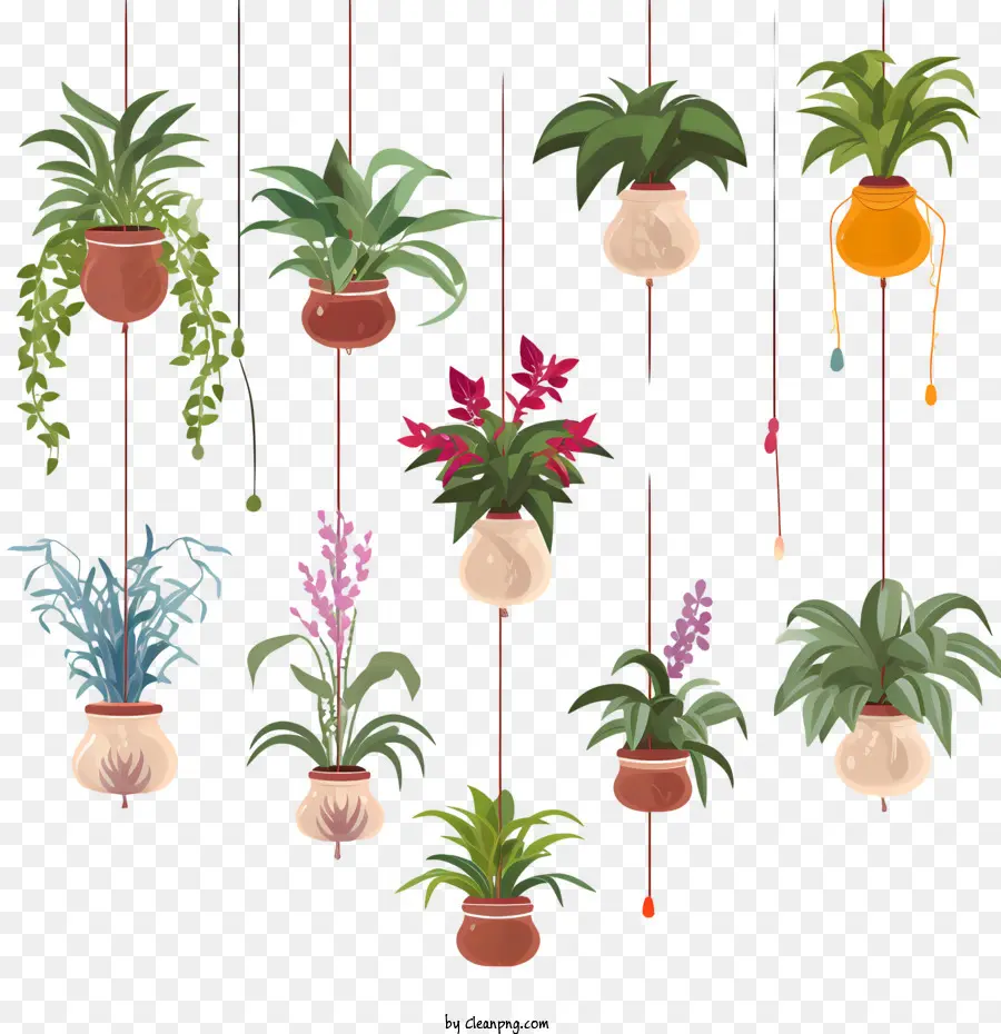 Planta Suspensa Com Vaso，Plantas Penduradas PNG