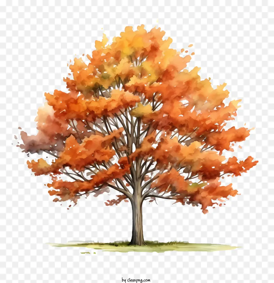 Autumn Tree，árvore PNG