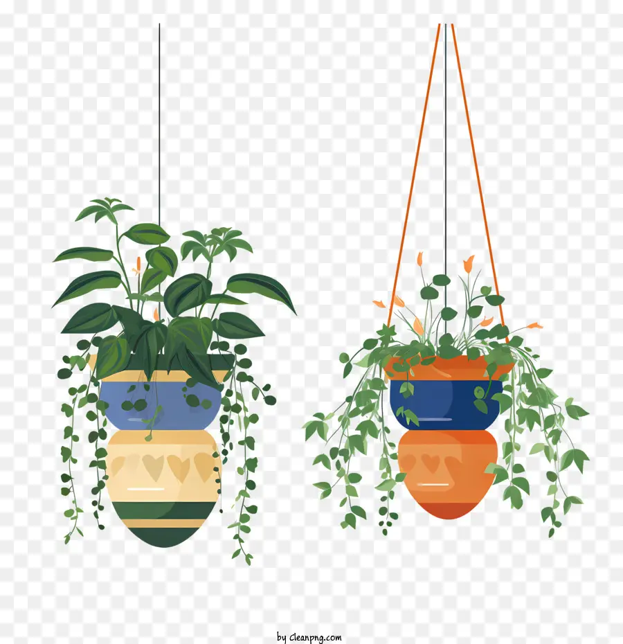 Planta Suspensa Com Vaso，Plantas Penduradas PNG