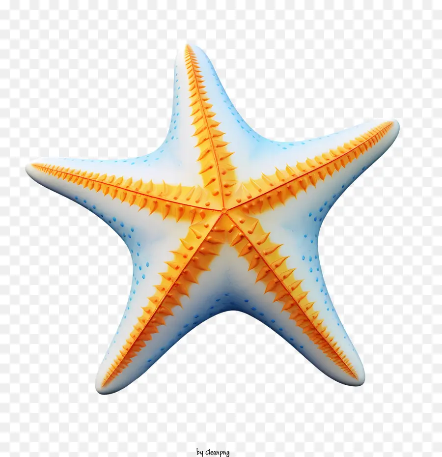 Estrela Do Mar，Azul PNG