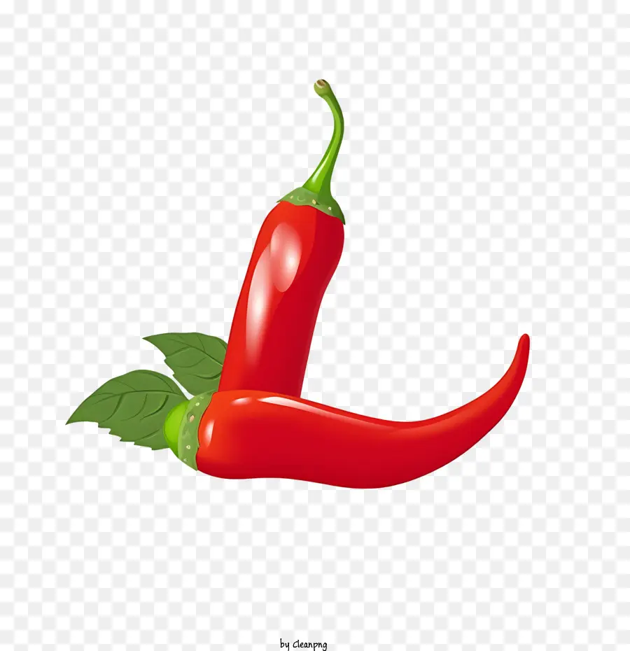 Jalapeño，Chili Pepper PNG