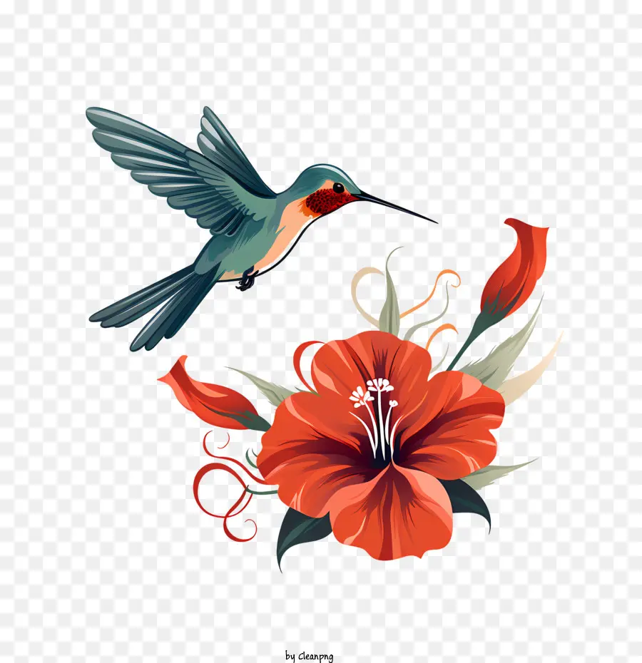 Dia Do Beija Flor，Aves PNG