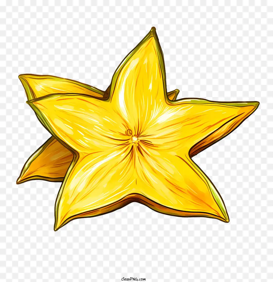 Carambola，Estrela Amarela PNG