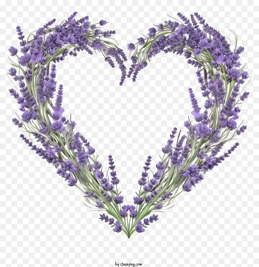 Guirlanda De Lavanda，Coração Lavanda PNG