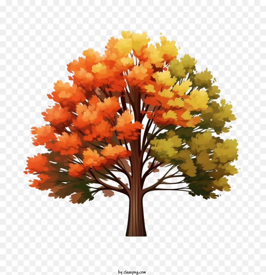 Autumn Tree， PNG