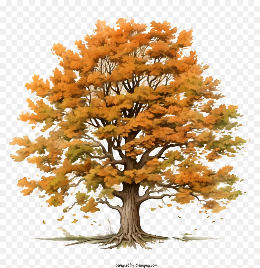 Autumn Tree，árvore PNG