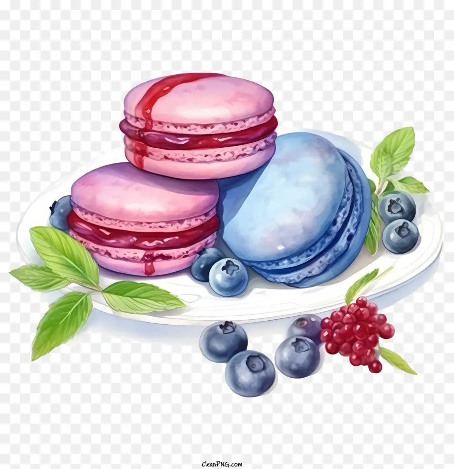 Dia Do Macarrão，Macarons PNG