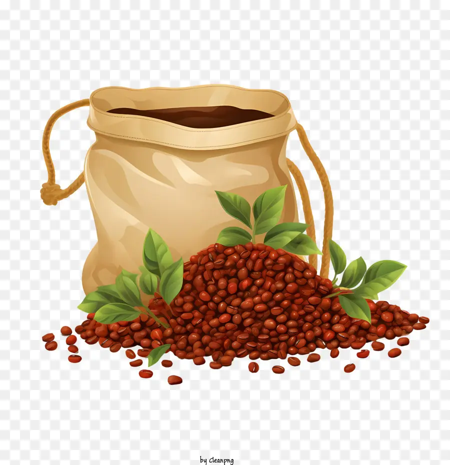 Bolsa De Grãos De Café，Feijão PNG