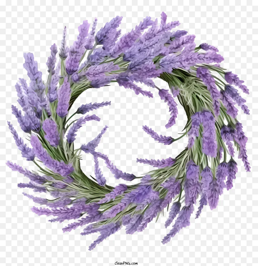 Coroa De Flores De Lavanda，Lavanda PNG