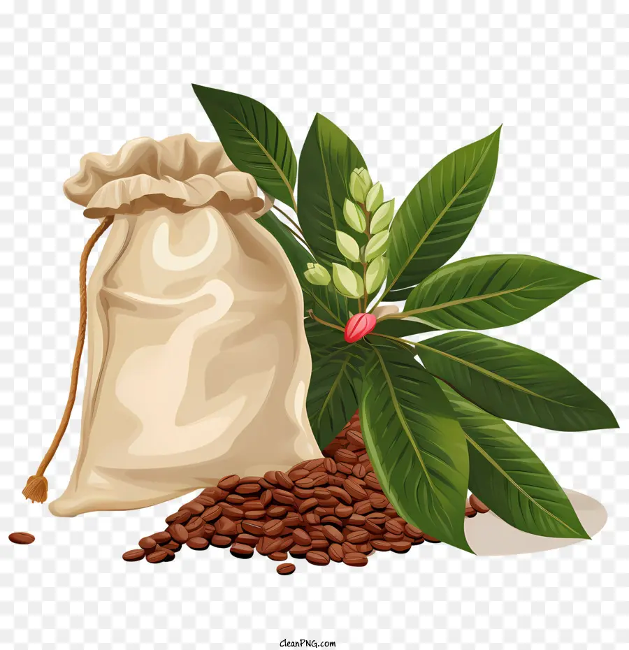 Bolsa De Grãos De Café，Saco PNG