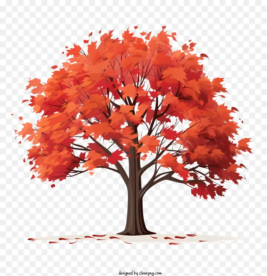 Autumn Tree，Outono PNG