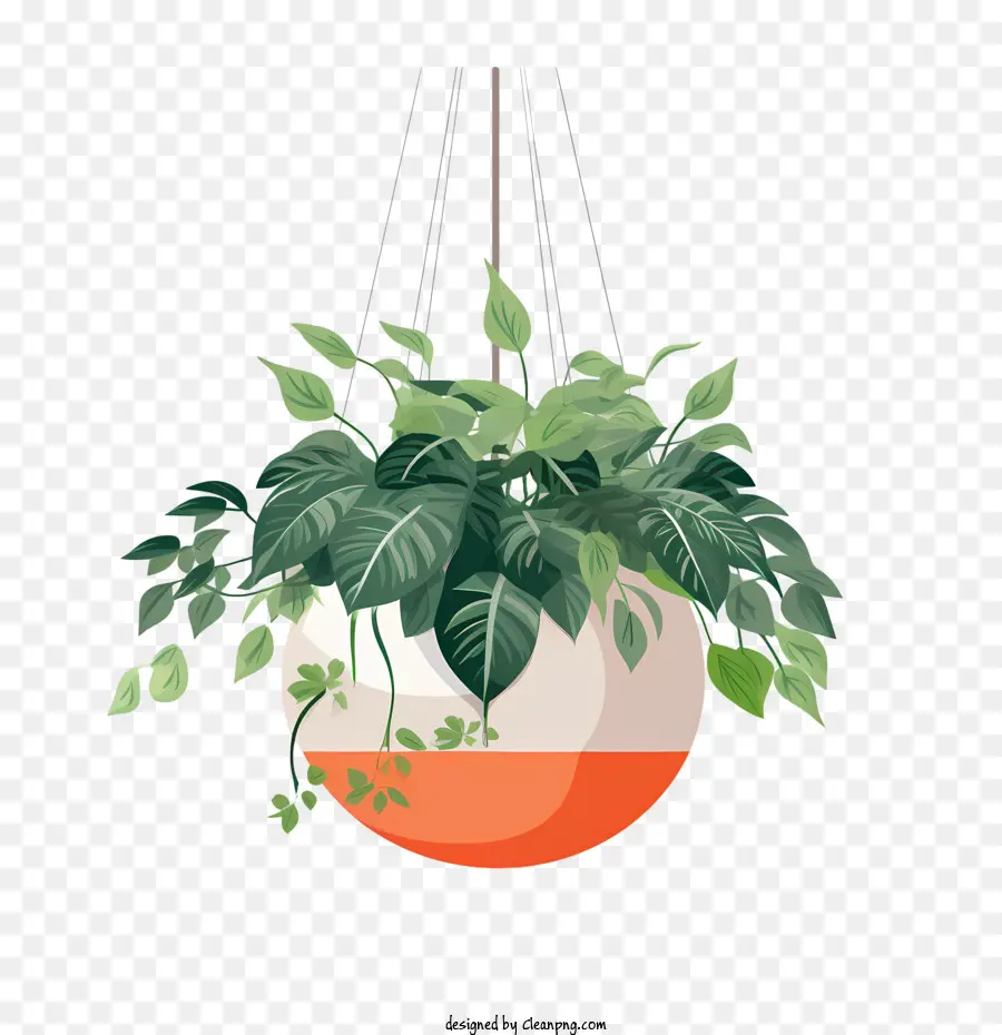 Planta Suspensa Com Vaso，Planta Suspensa PNG