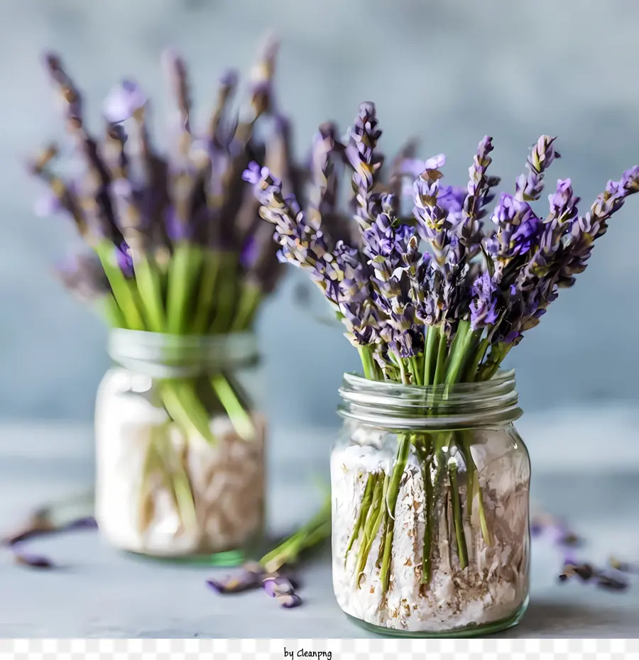 Dia Nacional Do Mason Jar，Lavanda Em Jarra PNG