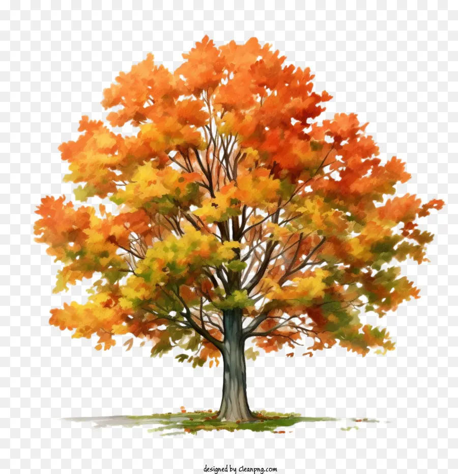 Autumn Tree， PNG