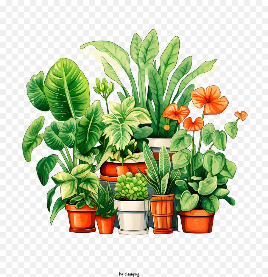 Dia Da Apreciação Da Planta Da Casa，Plantas Tropicais PNG
