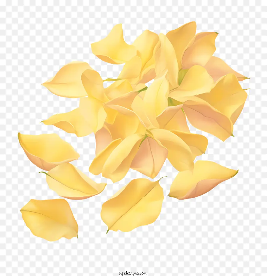 Pétalas De Rosa Amarelas，Amarelo PNG