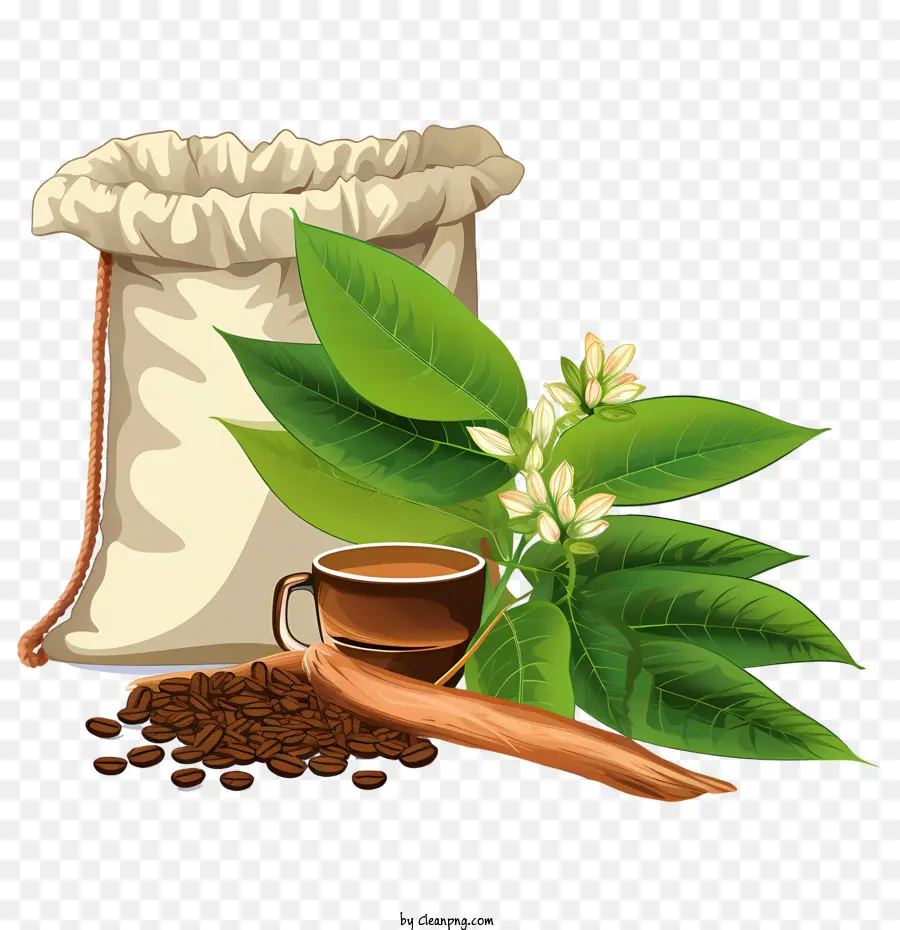 Grãos De Café，Grãos De Café E Xícara PNG