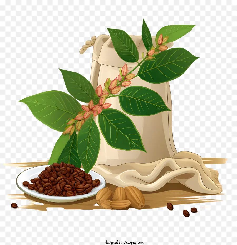 Grãos De Café，Amendoim PNG