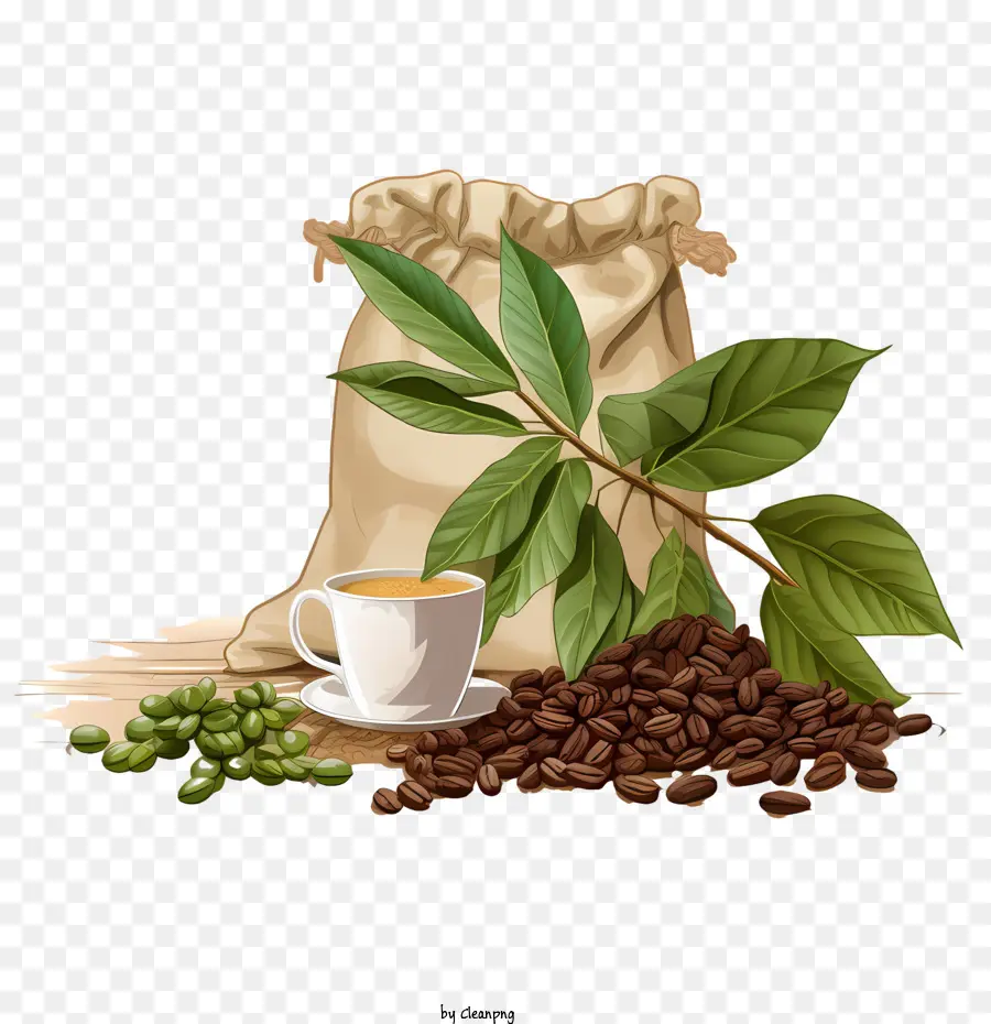 Grãos De Café，Java Beans PNG