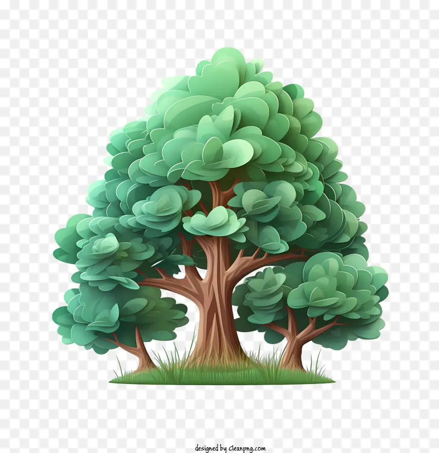árvore Perene，árvores Verdes PNG