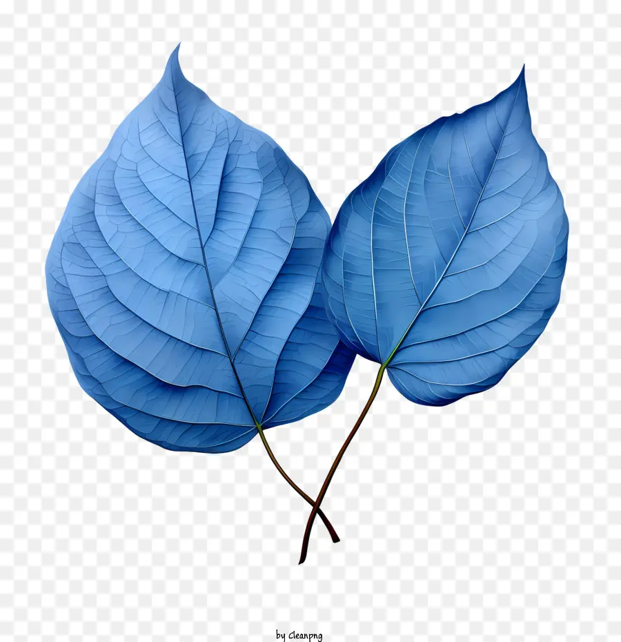 Folhas Azuis，Azul PNG