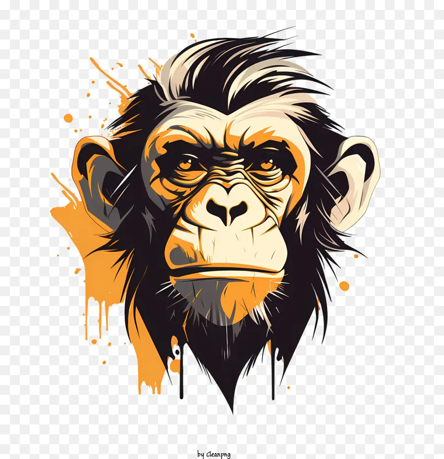 Macaco Dia，Chimpanzé PNG