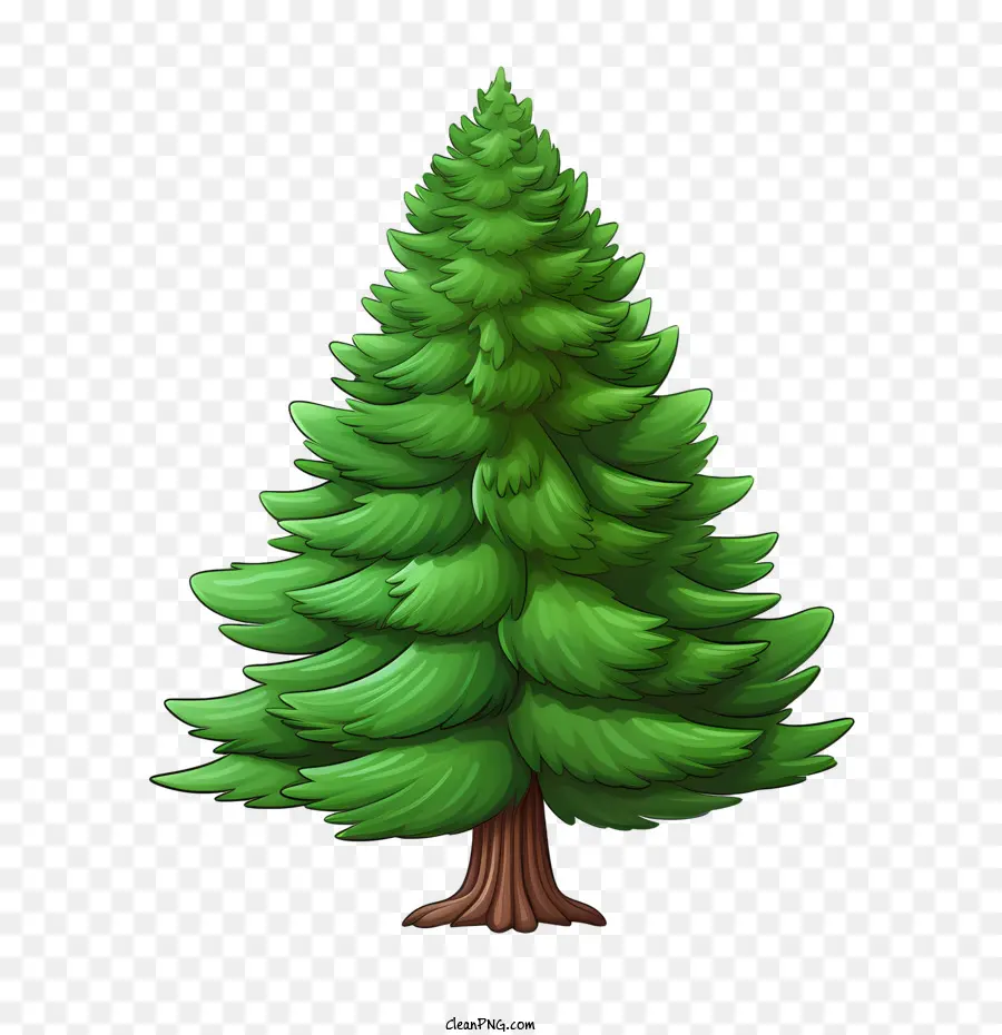 árvore Perene，De Altura PNG