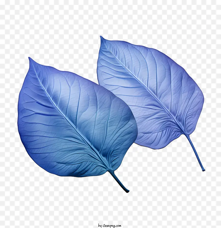 Folhas Azuis，Natureza PNG