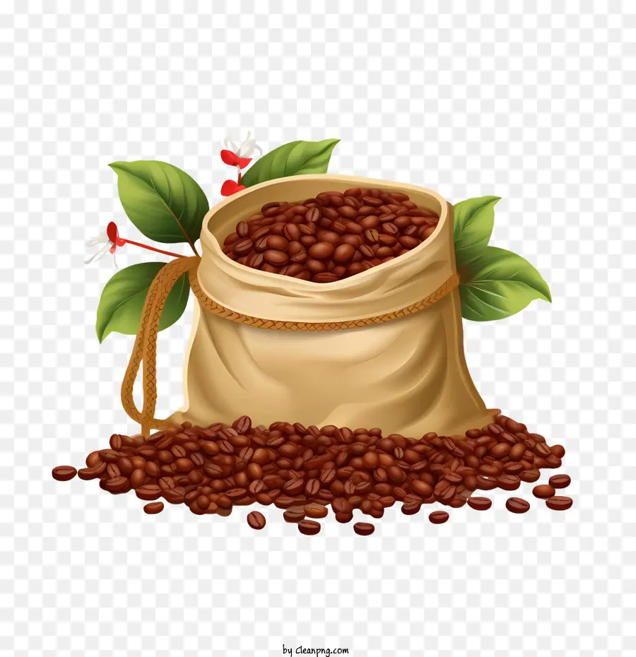 Grãos De Café，Café PNG