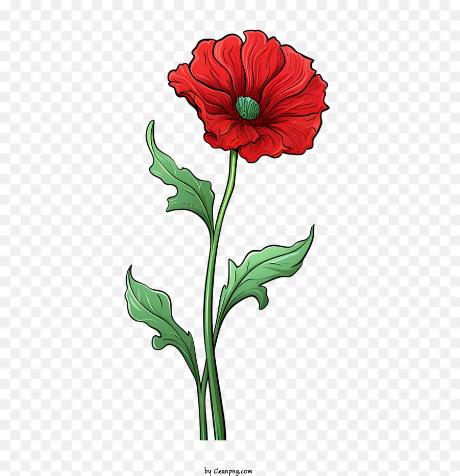 Flor De Papoula，Flor Vermelha PNG